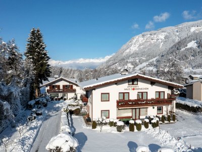 Apartment Ferienhaus am See - Outdoor photo 30