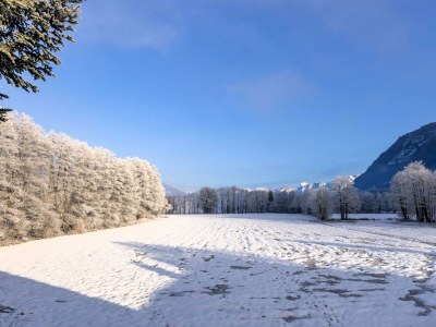 Apartment Ferienhaus am See - Outdoor photo 32