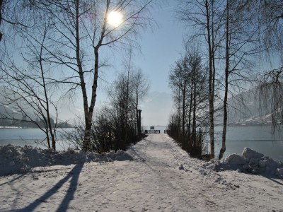 Apartment Ferienhaus am See - Outdoor photo 34