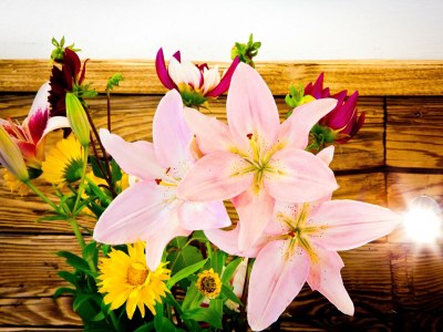 Holiday room Doppelzimmer Enzian mit Balkon - Features photo 38