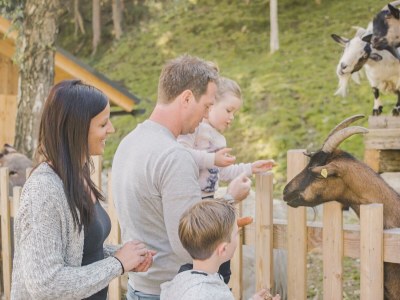 Holiday room Suite zur GÜTE Frühstück - Outdoor photo 25