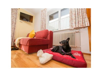 Holiday room Doppelzimmer mit Dusche, WC - Features photo 17