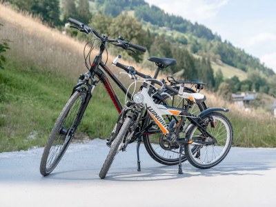 Apartment Appartement Zeller See - Outdoor photo 28