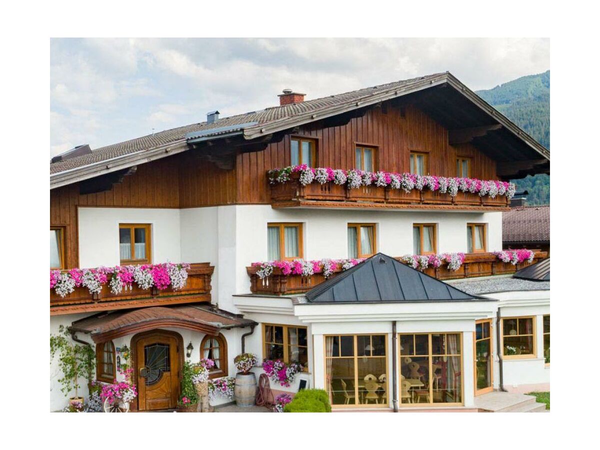 Apartment Apartment/1 Schlafraum/Dusche od. Bad,WC