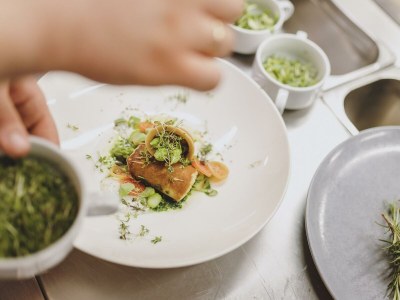 Holiday room Familien-Luxusapartment "Alpenblick" Halbpension - Outdoor photo 26