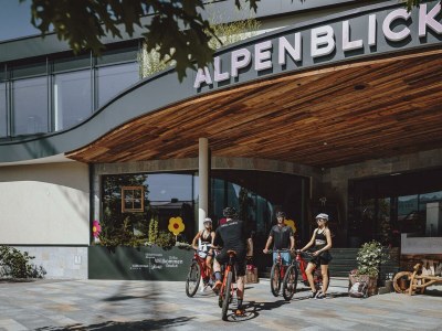 Holiday room Familien-Luxusapartment "Alpenblick" Halbpension - Outdoor photo 47