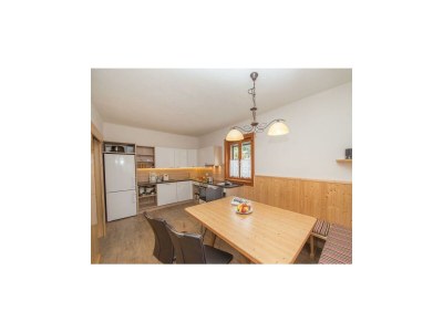 Apartment Ferienhaus II / mehr Schlafr./Dusche - Features photo 15