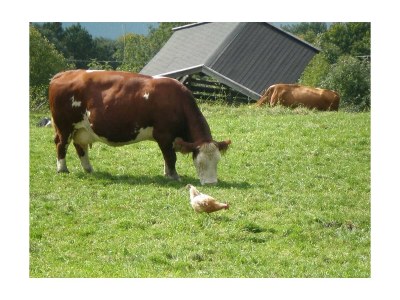 Apartment Appartement Kitzsteinhorn - Outdoor photo 3