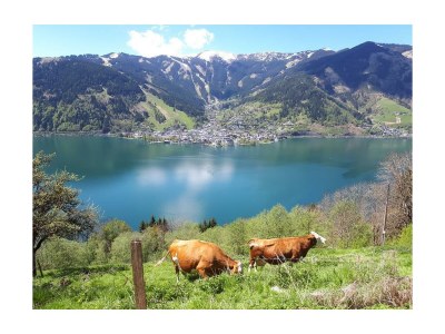 Apartment Appartement Kitzsteinhorn - Outdoor photo 7