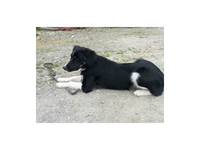 Apartment Appartement Kitzsteinhorn - Outdoor photo 10