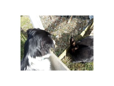 Apartment Appartement Kitzsteinhorn - Outdoor photo 12