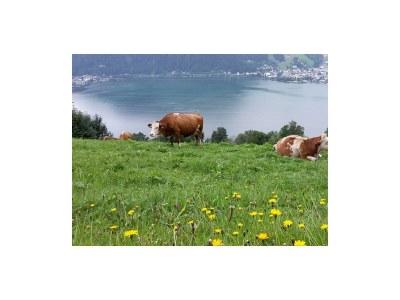 Apartment Appartement Kitzsteinhorn - Outdoor photo 14