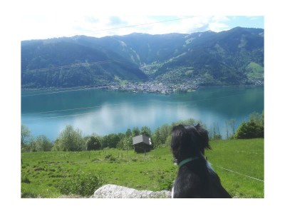 Apartment Appartement Kitzsteinhorn - Outdoor photo 15