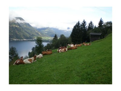 Apartment Appartement Kitzsteinhorn - Outdoor photo 17