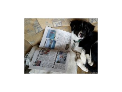 Apartment Appartement Kitzsteinhorn - Outdoor photo 28