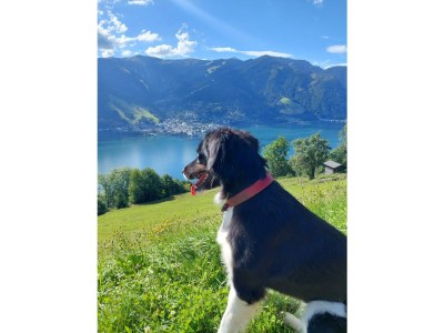 Apartment Appartement Kitzsteinhorn - Outdoor photo 31