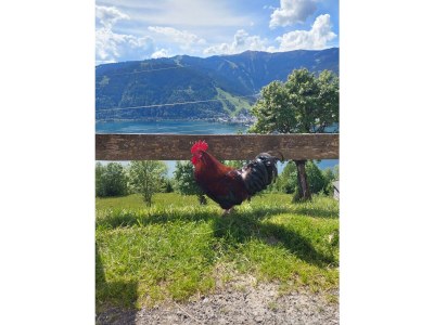 Apartment Appartement Kitzsteinhorn - Outdoor photo 32