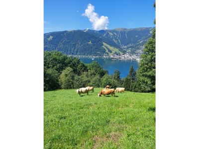 Apartment Appartement Kitzsteinhorn - Outdoor photo 33