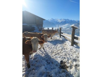 Apartment Appartement Kitzsteinhorn - Outdoor photo 34