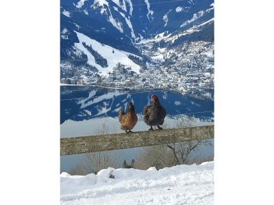 Apartment Appartement Kitzsteinhorn - Outdoor photo 35