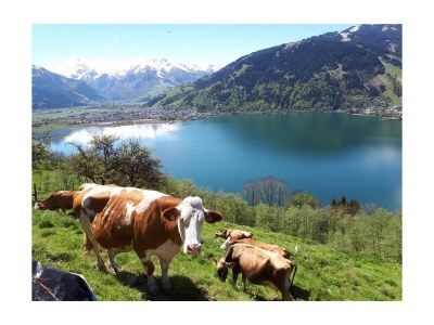 Apartment Appartement Kitzsteinhorn - Features photo 41