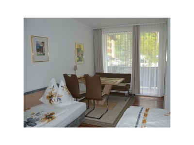 Apartment Studio, Dusche und Bad, WC, Wohn-/Schlafraum - Features photo 10