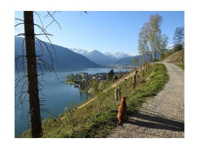 Holiday room Einzelzimmer - Outdoor photo 18