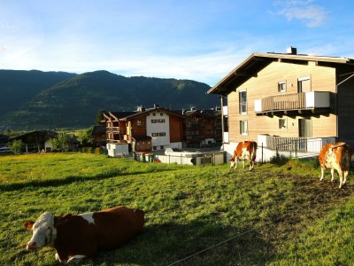 Apartment Appartement/Fewo, Dusche oder Bad, WC, 1 Schlafrau - Features photo 31