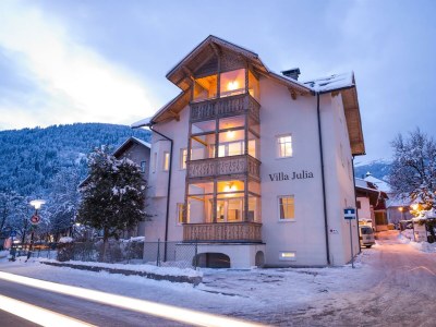 Apartment Villa Julia - Penthouse Suite - Features photo 35