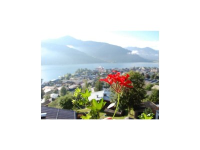 Apartment Appartement Studio - Outdoor photo 6