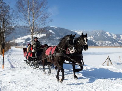 Holiday room Doppelzimmer  Standard "Areit"  mit Frühstück - Outdoor photo 41