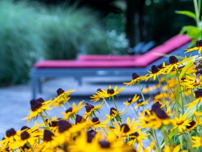 Holiday room Doppelzimmer  Standard "Areit"  mit Frühstück - Outdoor photo 45