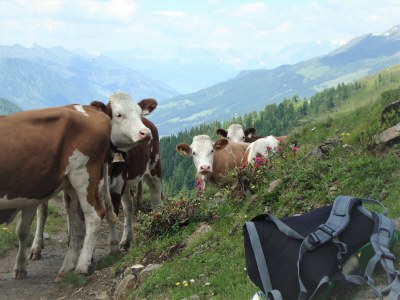 Apartment Appartement/Fewo, Dusche, WC, Balkon - Outdoor photo 22