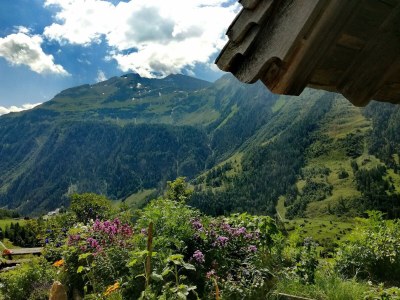 Apartment Appartement/Fewo, Dusche, WC, Balkon - Outdoor photo 23