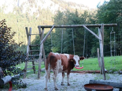 Holiday apartment Schossbach im Haus Waldwinkel - Features photo 17