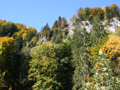 Holiday apartment Schossbach im Haus Waldwinkel - Features photo 18