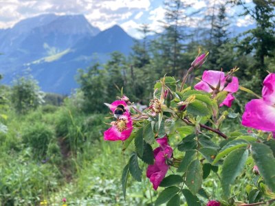 Holiday apartment Schossbach im Haus Waldwinkel - Features photo 26