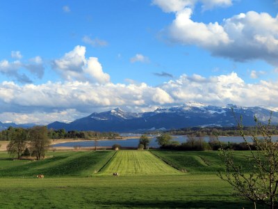 Holiday apartment Schossbach im Haus Waldwinkel - Features photo 28