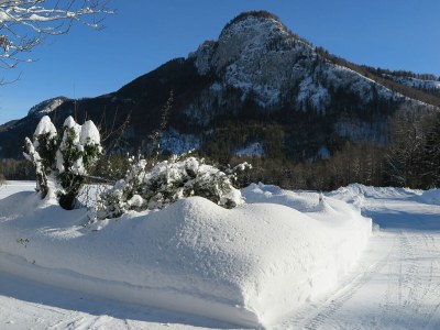 Holiday apartment Schossbach im Haus Waldwinkel - Environment photo 35