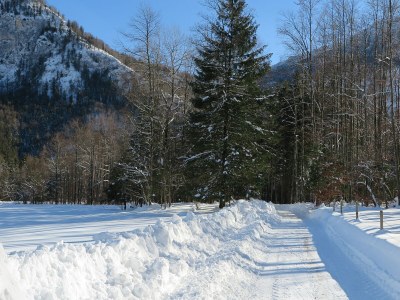 Holiday apartment Schossbach im Haus Waldwinkel - Environment photo 39