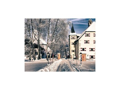 Apartment Fischerhaus in Zell am See - Apartment