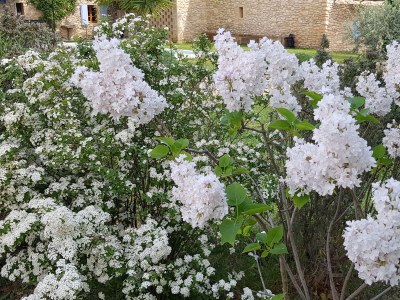Holiday house Mazet des Moineaux - Outdoor photo 15