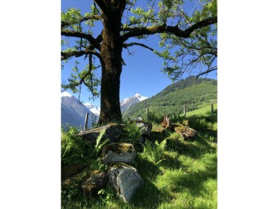 Apartment Appartement 3 - Outdoor photo 28