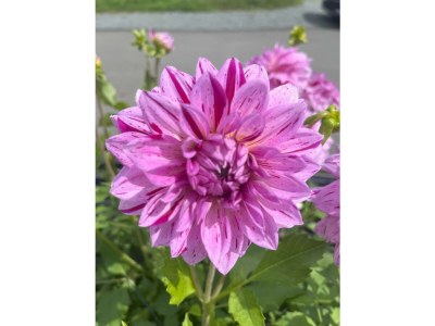 Apartment Appartement 3 - Outdoor photo 38