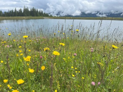 Apartment Appartement 3 - Outdoor photo 46