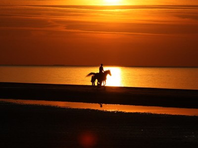 Holiday apartment Luxury Holiday Apartment in Oostkapelle (NEW) - Environment photo 13