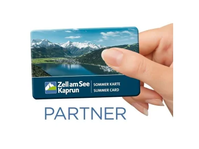 Apartment Appartment Top 1 Premium - non refundable rate in Zell am See - Apartment
