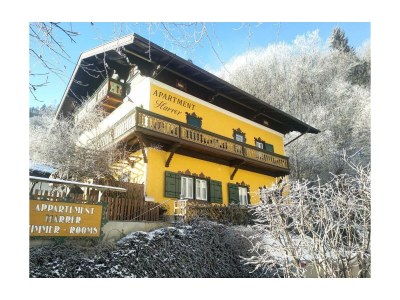 Apartment Apartment/2 Schlafräume/Dusche, WC, Seeblick in Zell am See - Apartment