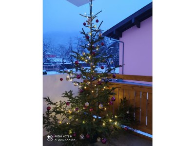 Apartment Panorama Lodge Kitzsteinhorn - Features photo 35