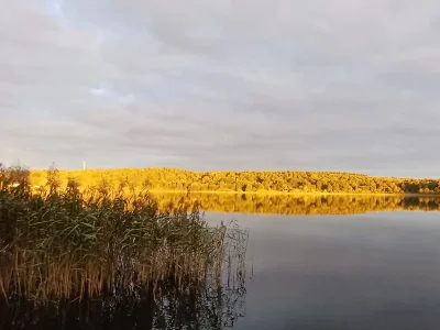 Holiday house Glammseehaus 6 - Environment photo 14